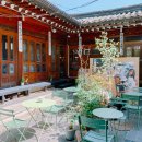 파리의상실 이미지