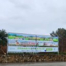 석정농장 | 전북 고창 벚꽃 축제 기다렸나 봄 개화 현황 벚꽃에서 쭈꾸미까지 상하농장 여행 후기 내돈내산
