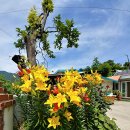 집들이 민박 이미지