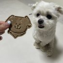 멍스하우스 이미지