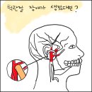 함종욱치과의원 이미지