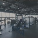 고구마 휘트니스 이미지