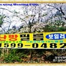 안골 낚시터 이미지