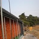 유진농원