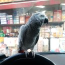 고대공단주유소 이미지