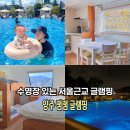 서울 근교 글램핑 수영장 양주 잼잼 글램핑 당일치기 후기