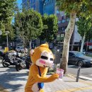 제니카야 이미지