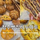 인생단팥빵 | 청주 빵맛집 빵지순례 필수 바누아투 과자점 단호박비리오슈 쌀쑥단팥빵 후기