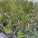 대림가든 이미지