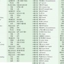 탄생화 Daum카페
