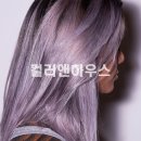 컬러앤하우스 - 용인시 기흥구 | 컬러앤하우스