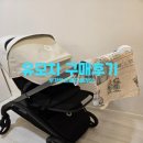 예비맘의 절충형 유모차 구매후기 -부가부 드래곤 플라이