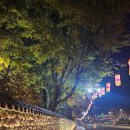 남원시어린이청소년도서관 동아리실 | [남원여행] 광한루원 야경관람 후기 : 낮보다 밤이 더 아름다워