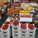 각화도매시장 광주채소 이미지