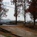 수북농협주유소 이미지