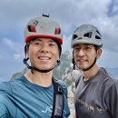 향기나꼬꼬 이미지