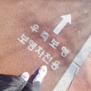 파인드핏 이미지