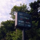 제부도펜션 벚꽃 | [경기/화성] 노을이 예쁜 제부도에서 바베큐도 맛있게 먹었던, 제부도펜션 벚꽃를 다녀오다.