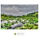 호수공원6로 이미지