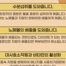 오혜숙생활단식진주지사
