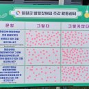 사단법인 철원군발달장애인협회 2025프리마켓 제13회 고마워 시장놀이터 대박 행사 이모저모 이미지