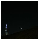 참견(犬) 이미지