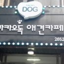 애견샵 이미지