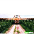 일한농장 이미지