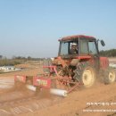 일등농장 이미지