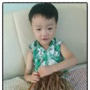 연선건어물