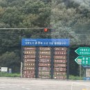 초원목장 | 춘천여행 가볼 만한 곳 추천! 감성 힐링 명소 해피초원목장 후기