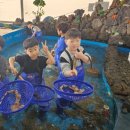 태흥초등학교 이미지