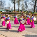 보강천 미루나무숲 이미지