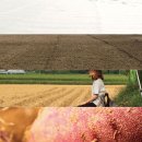 논밭상점 이미지