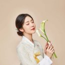 가의한복