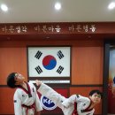 경희대 진명태권도 이미지