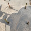 푸른솔몬테소리어린이집 이미지