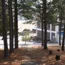 주천고등학교 이미지