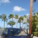 무운농장 | 하와이신혼여행 후기 오아후 자동차여행/하나우마베이/지오반니새우트럭/Dole plantation 파인애플농장