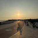 오이도직판장마트