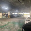 (주)엑스지오 | CGV 서면 SCREEN X관 ‘위키드’ 관람 후기 / 주차꿀팁 / 좌석꿀팁