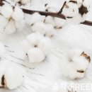 서울미즈병원 네이버블로그