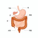 덧셈유통 | ✅ 유산균 제품 고를 때 헷갈리면, 균수보다 먼저 보는 1가지