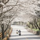 오동마을~무룡고개 이미지