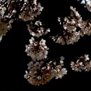 용지호수공원 이미지