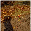 옥구공원 이미지