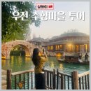 ㈜신세계관광여행사 | [상하이] 우전 야간 투어 :: 마이리얼트립 내돈 내산 투어 후기