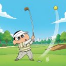 레드스타 | 광주 골프샵 혼마 파크골프채 4스타 SX-002 한정판 레드 색상 구매 후기