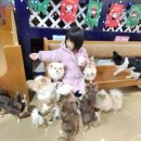 무럭이농장2 이미지