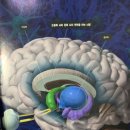 호성한의원 이미지